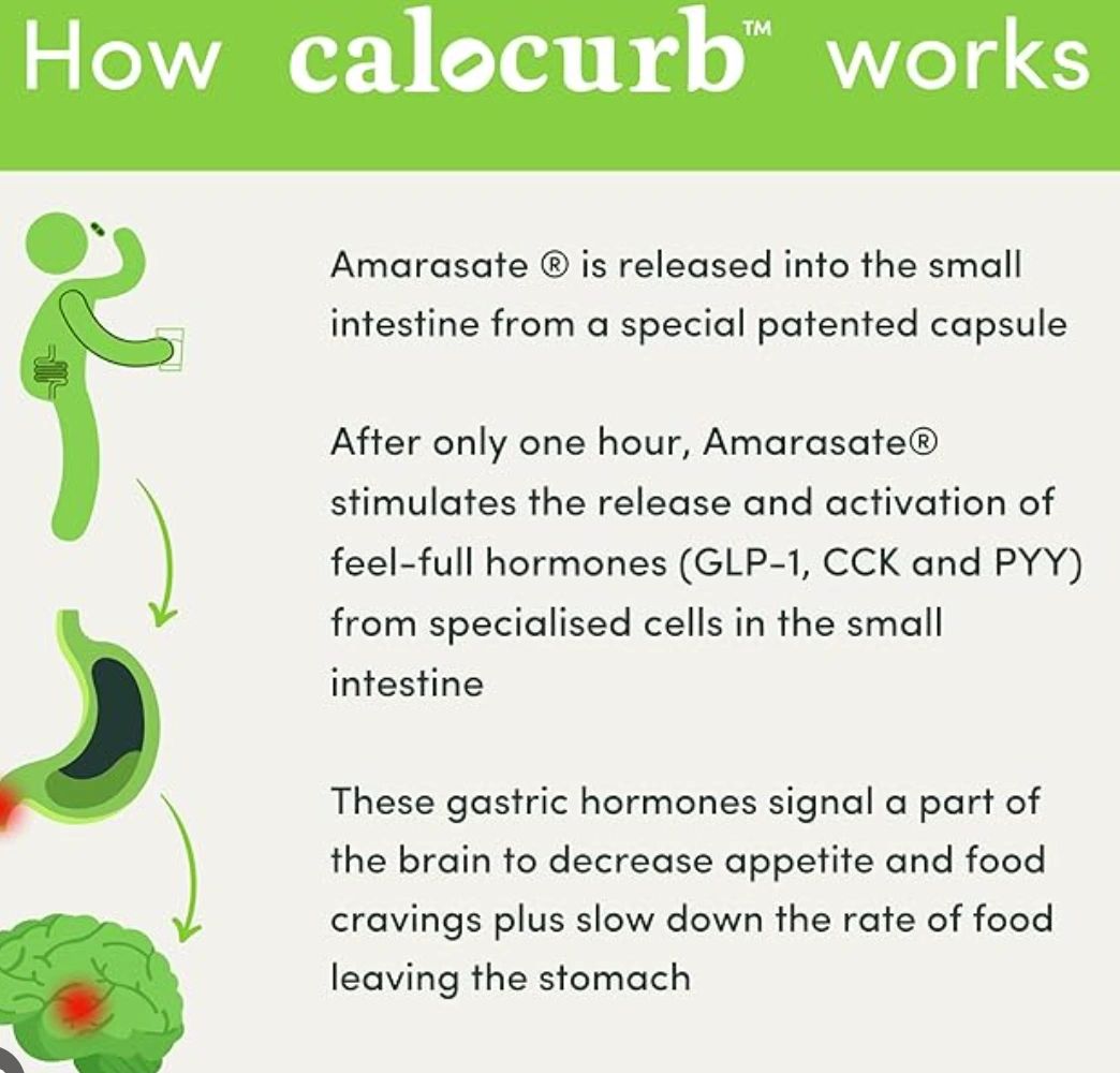 calocurb glp-1 activator Calocurb GLP1 Activator
